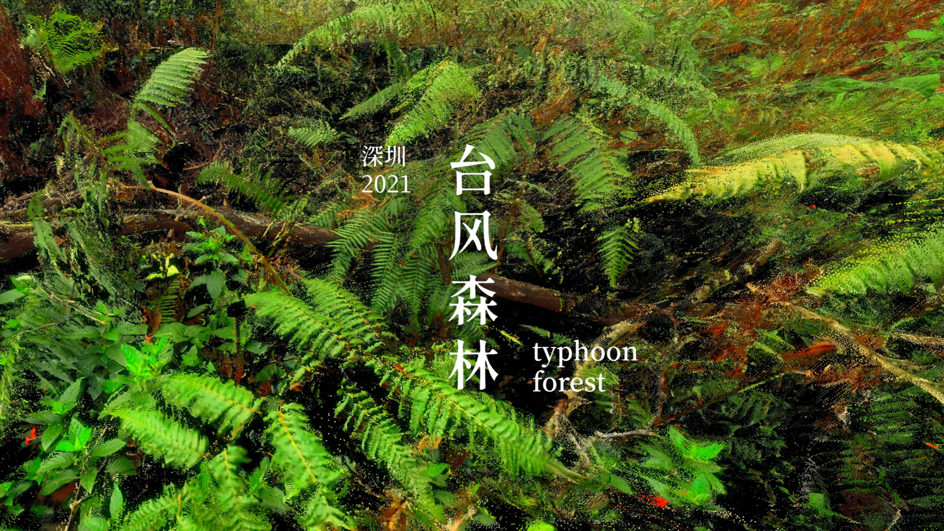 【LiDAR】3D Scan of Typhoon Forest