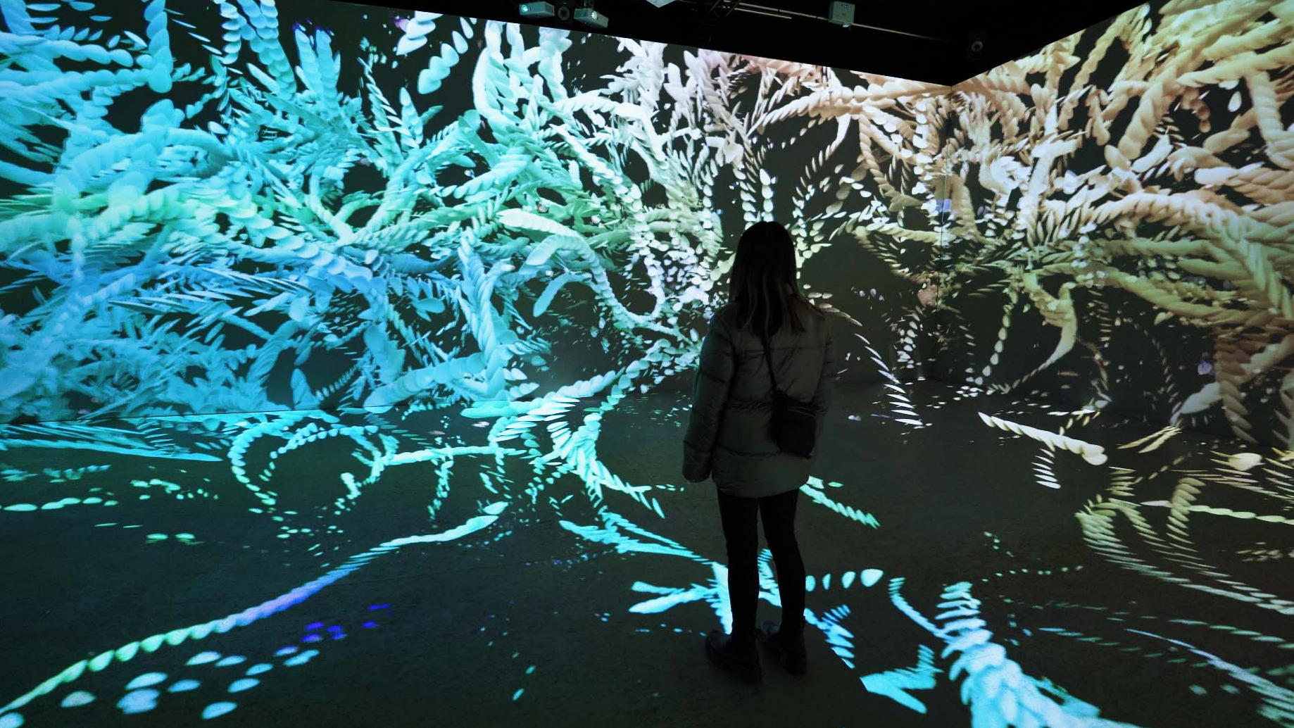 Particle Poetry