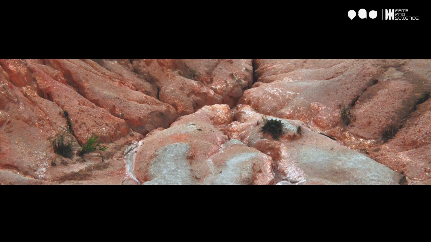 Co-Oxygen