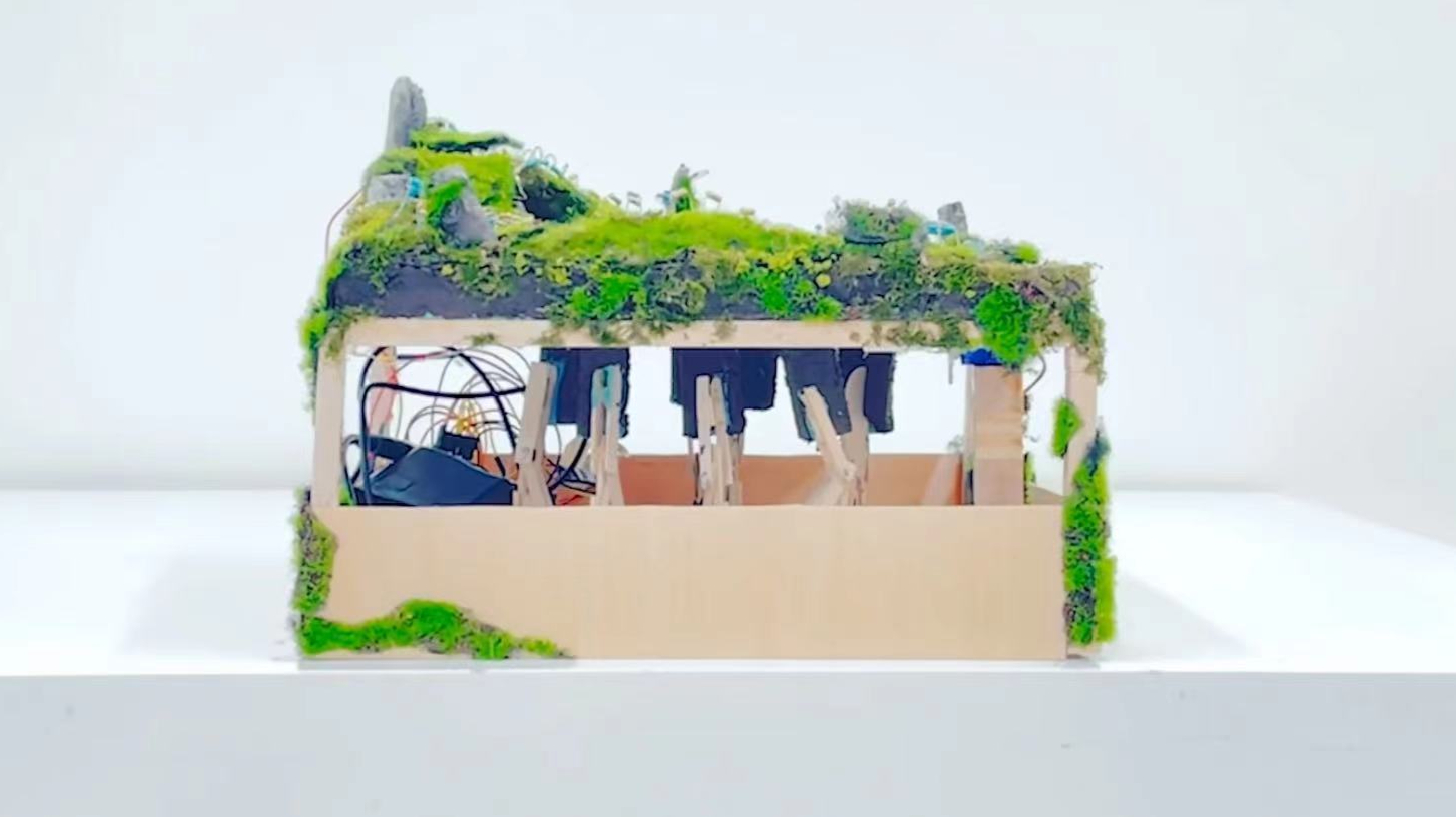Arduino Art Installation "Invisible Animals"