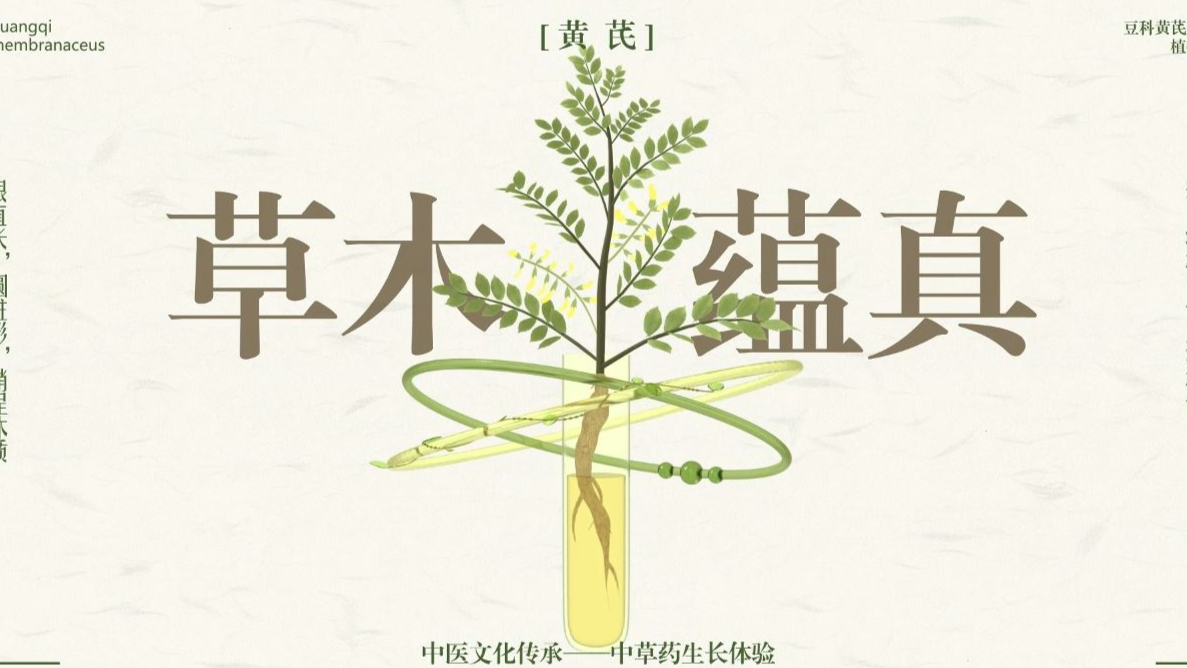 Grass and Trees Are True
