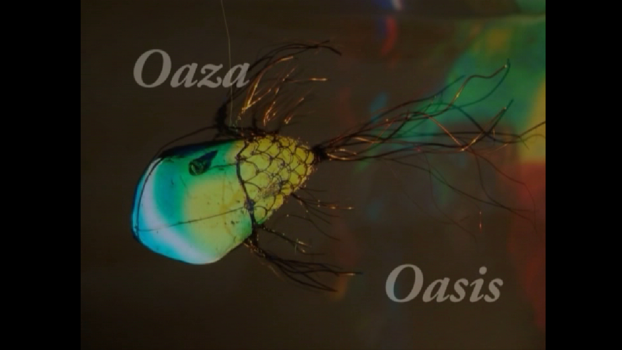 Oaza / Oasis (2008/2009)