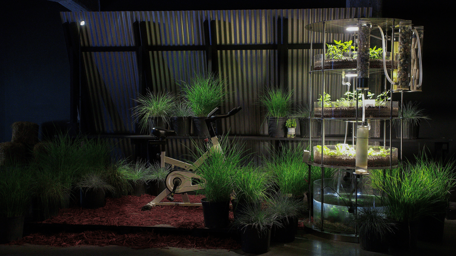 EDIBLE GARDEN