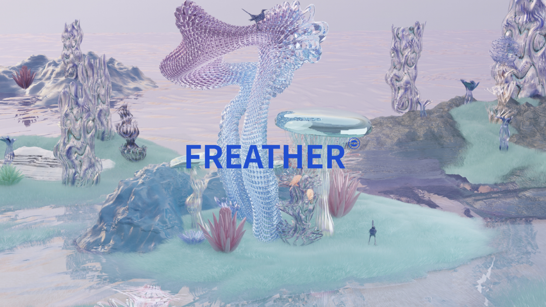 Feather—Bird Digital Brand Innovation