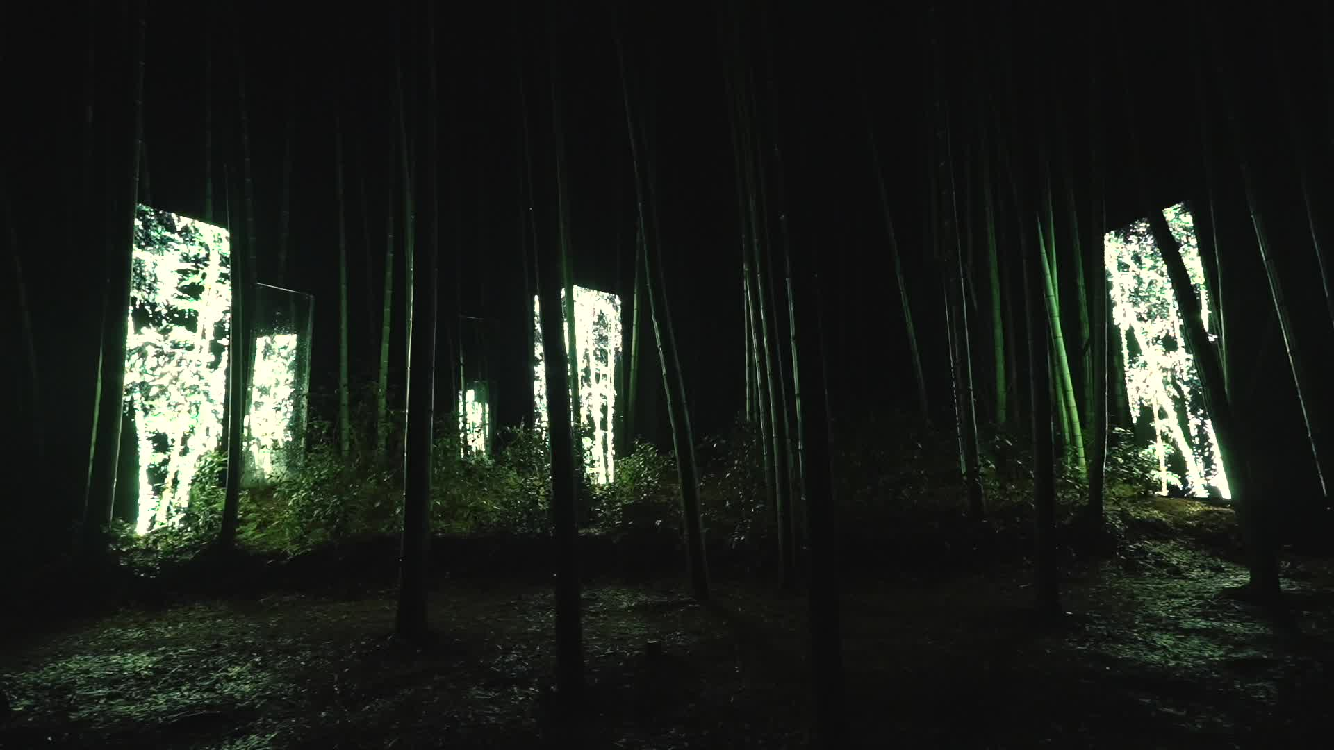 <四时比邻 SEASONAL PROMIXITIES>青山崝步道竹林