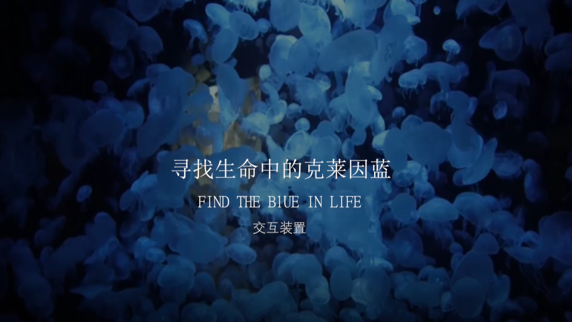Find The Blue In Our Life