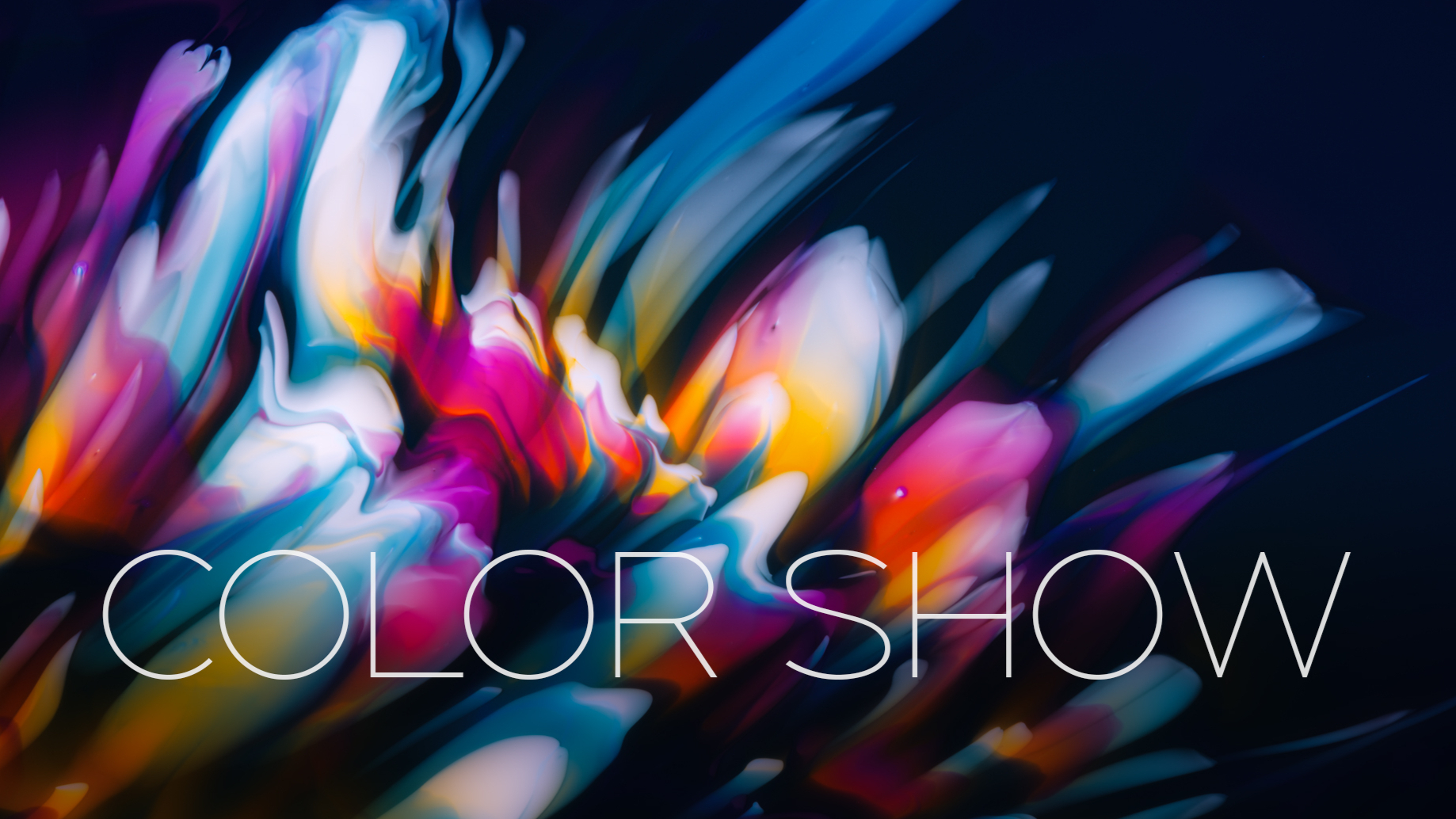 THE COLOR SHOW