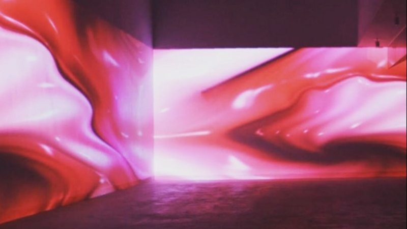 Flesh Facade