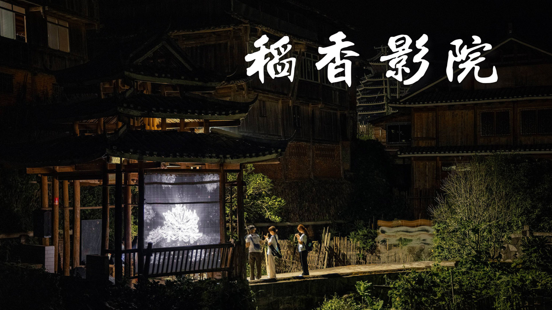 Dong Villige - The Cinema by the Rice Paddies