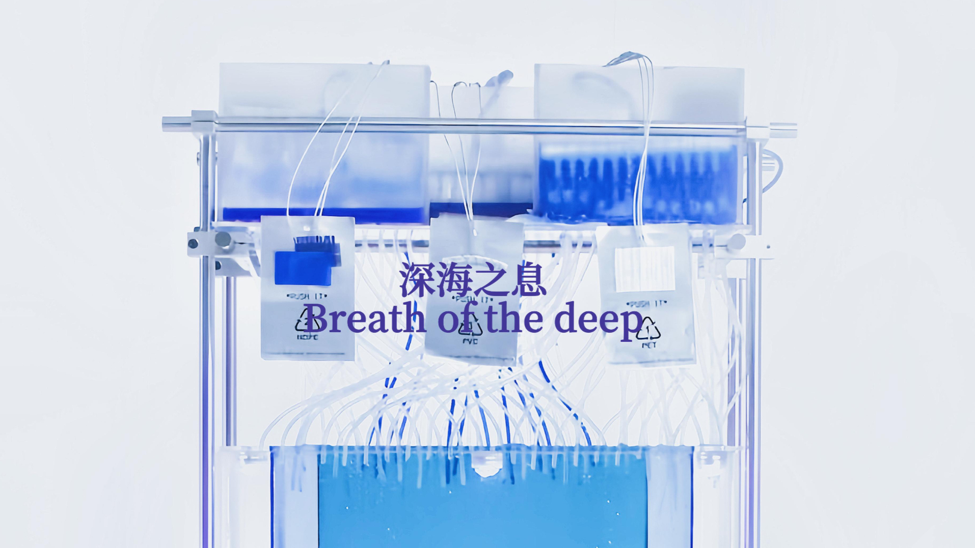 媒材与装置｜深海之息