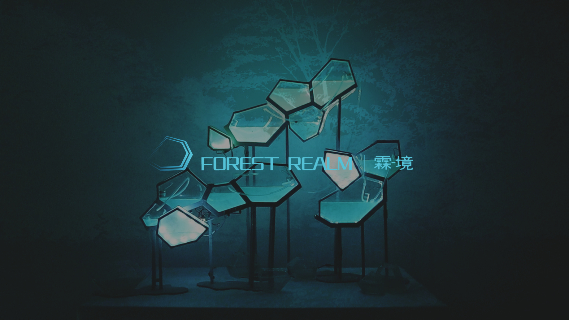 「霖·境」Forest Realm 互动装置