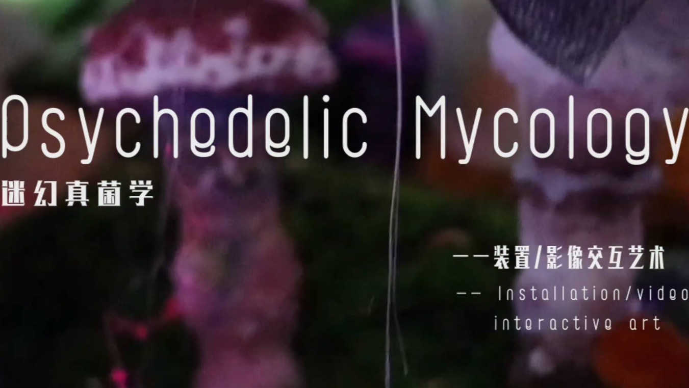 【交互装置/影像艺术/cave展厅】迷幻真菌学——属于你的幻觉世界，吃蘑菇中毒后