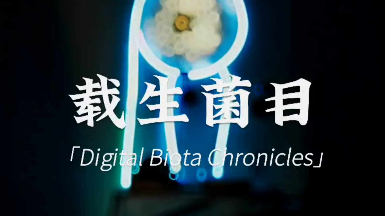 【交互装置_影像艺术】载生菌目——只是我在培育AI菌落吗