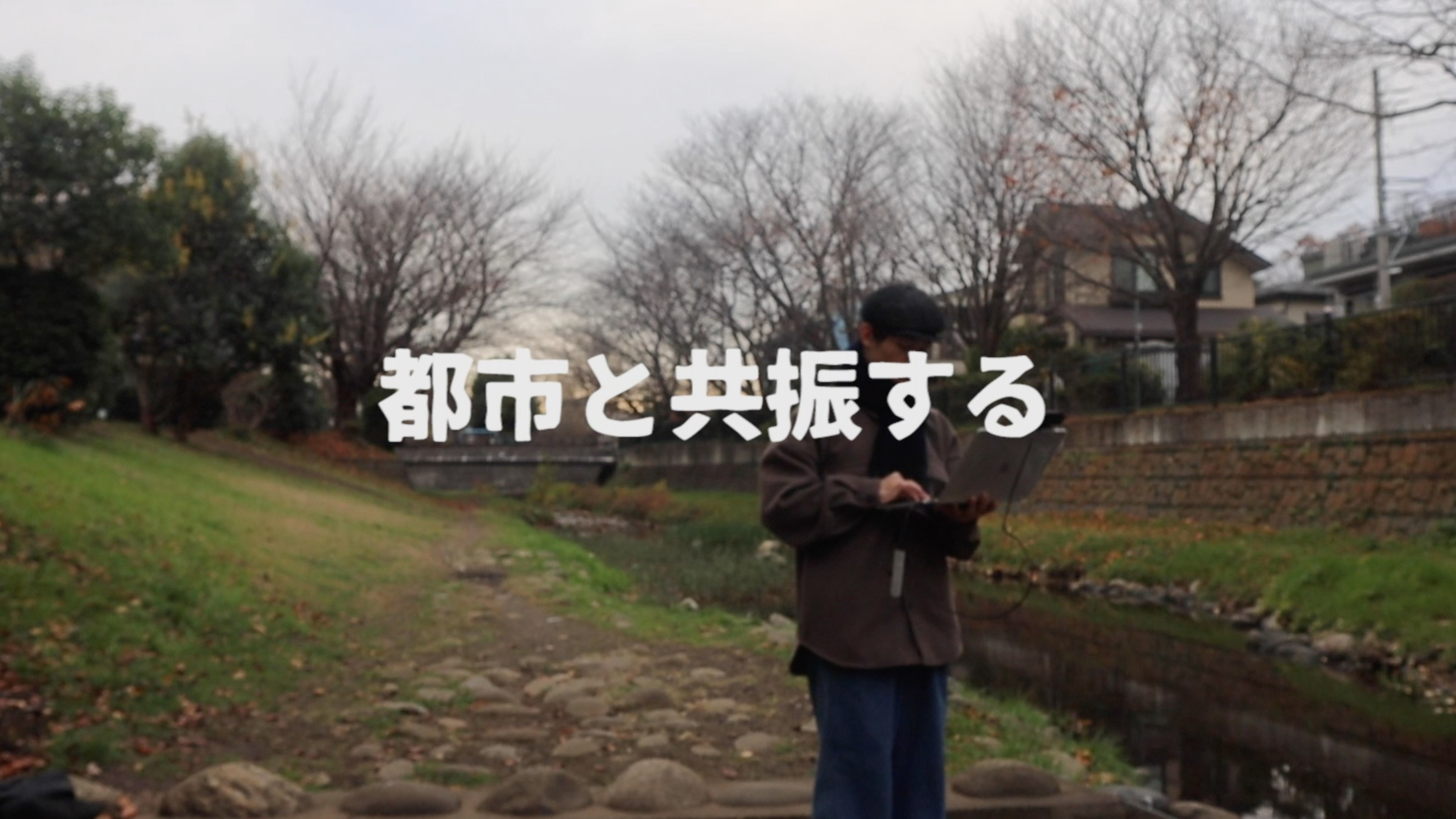 与城市共振