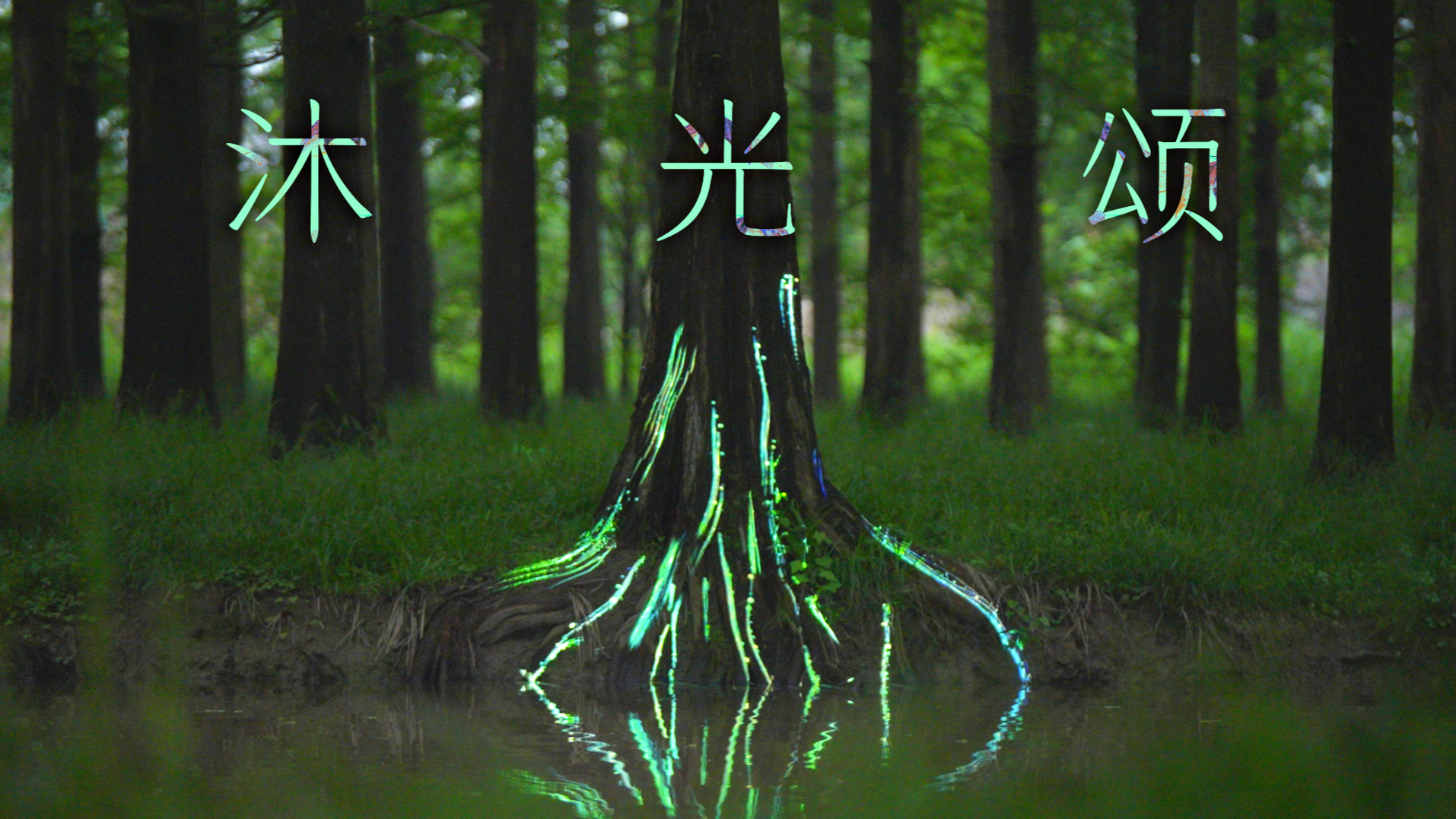 【Fullvideo】Ode of Light