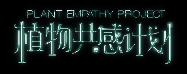 最终效果