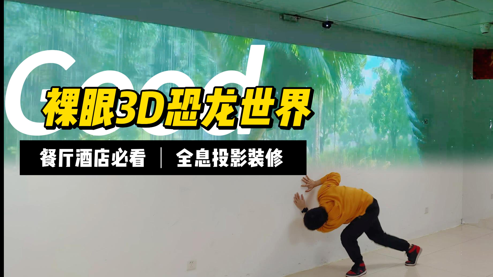 Naked Eye 3D Holographic Projection Decoration: Dinosaur World