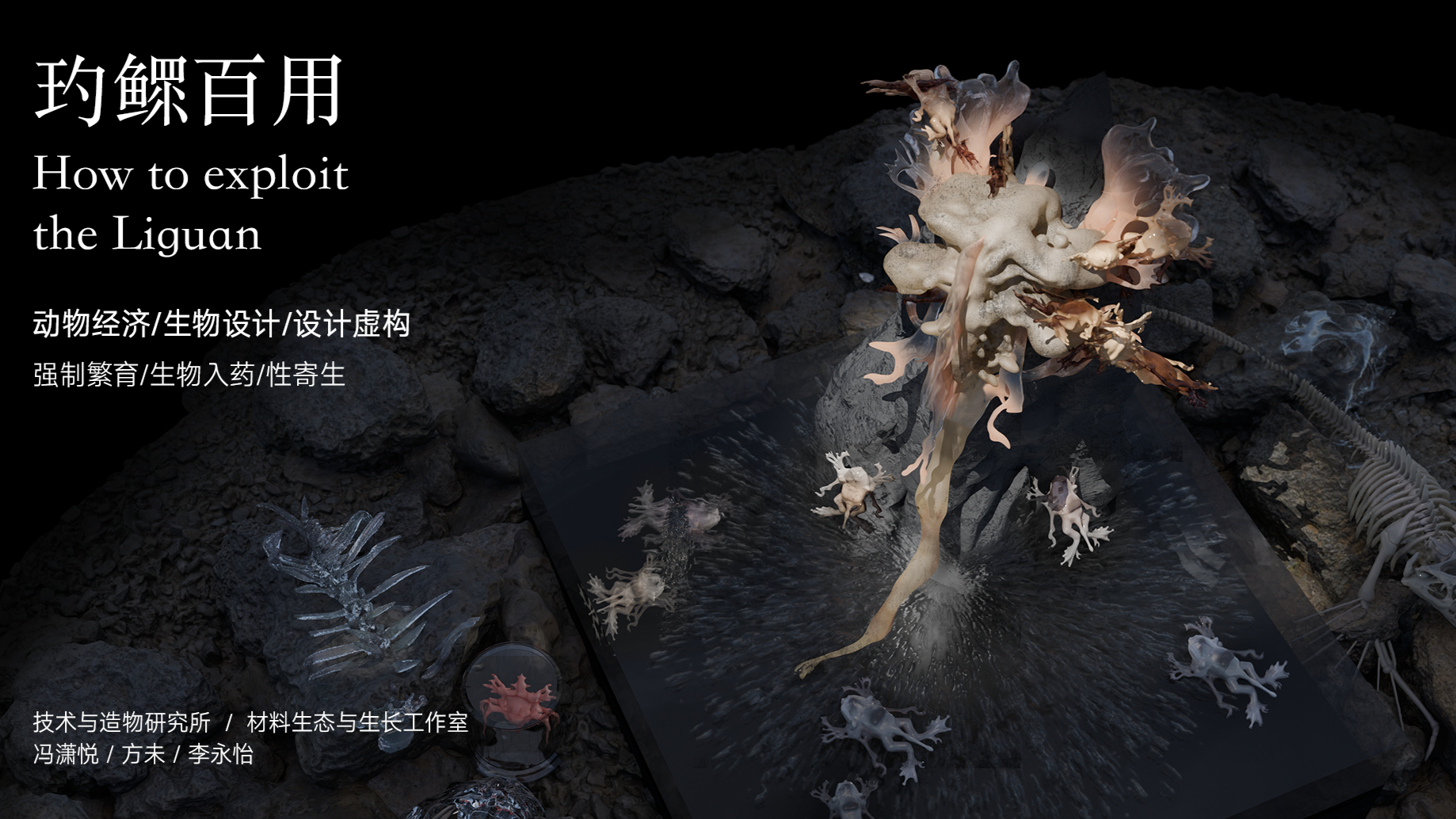 玓鳏百用