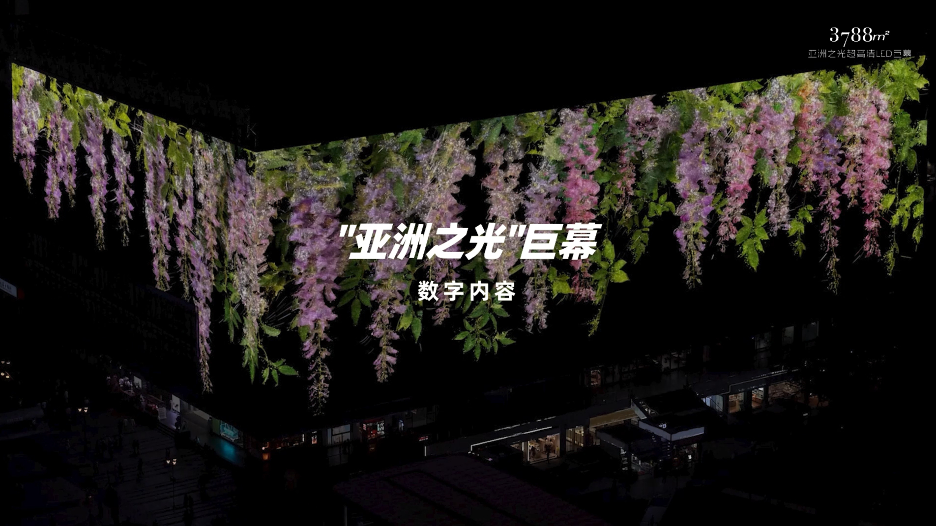 《时光的藏品》之「紫藤」，算法艺术为绚丽绽放的瞬间赋予新诠释