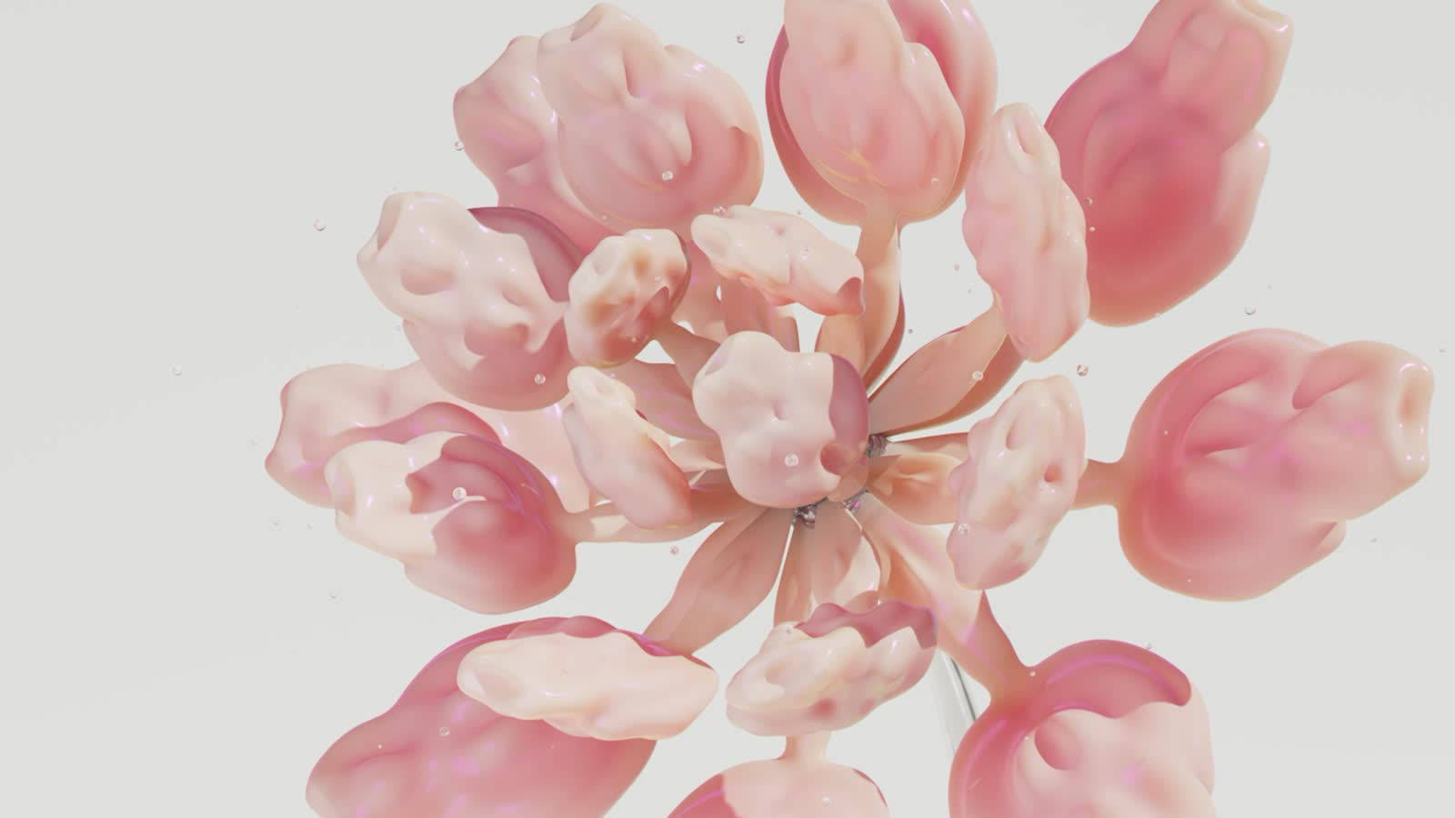 Generative Blooms
