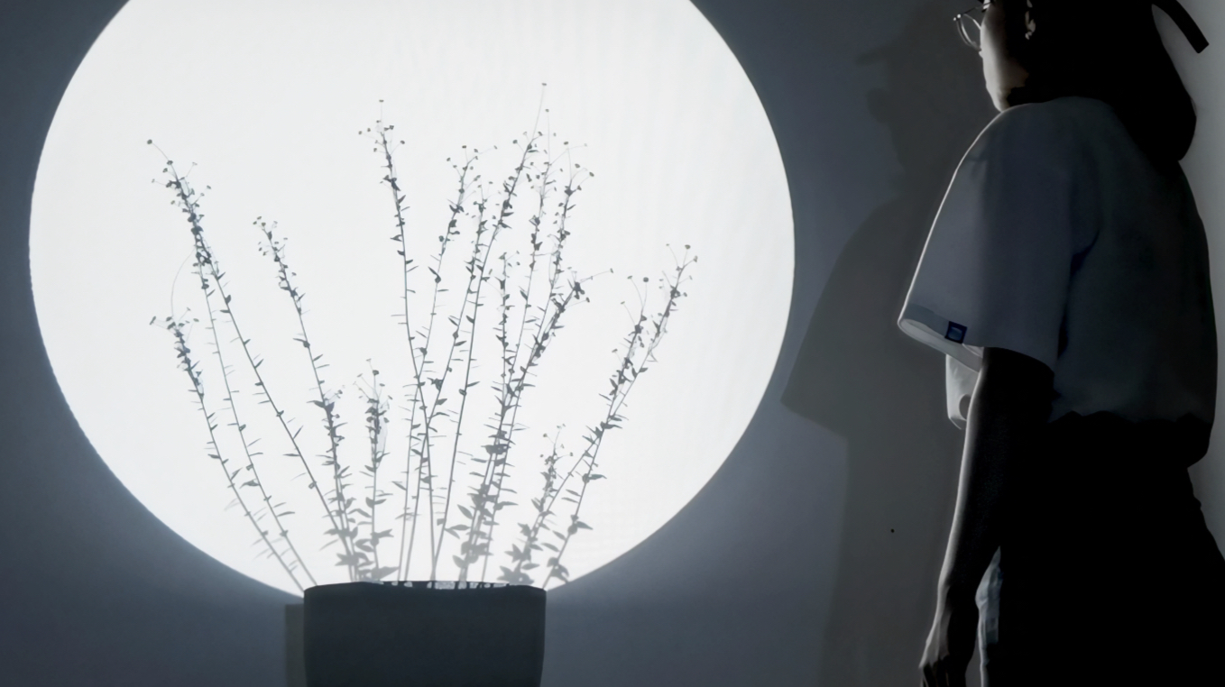 My poem. | Installation art and experimental video