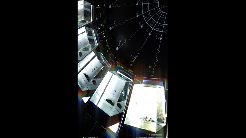 以磁力，竞万象 <Magnet System>磁场交互实验