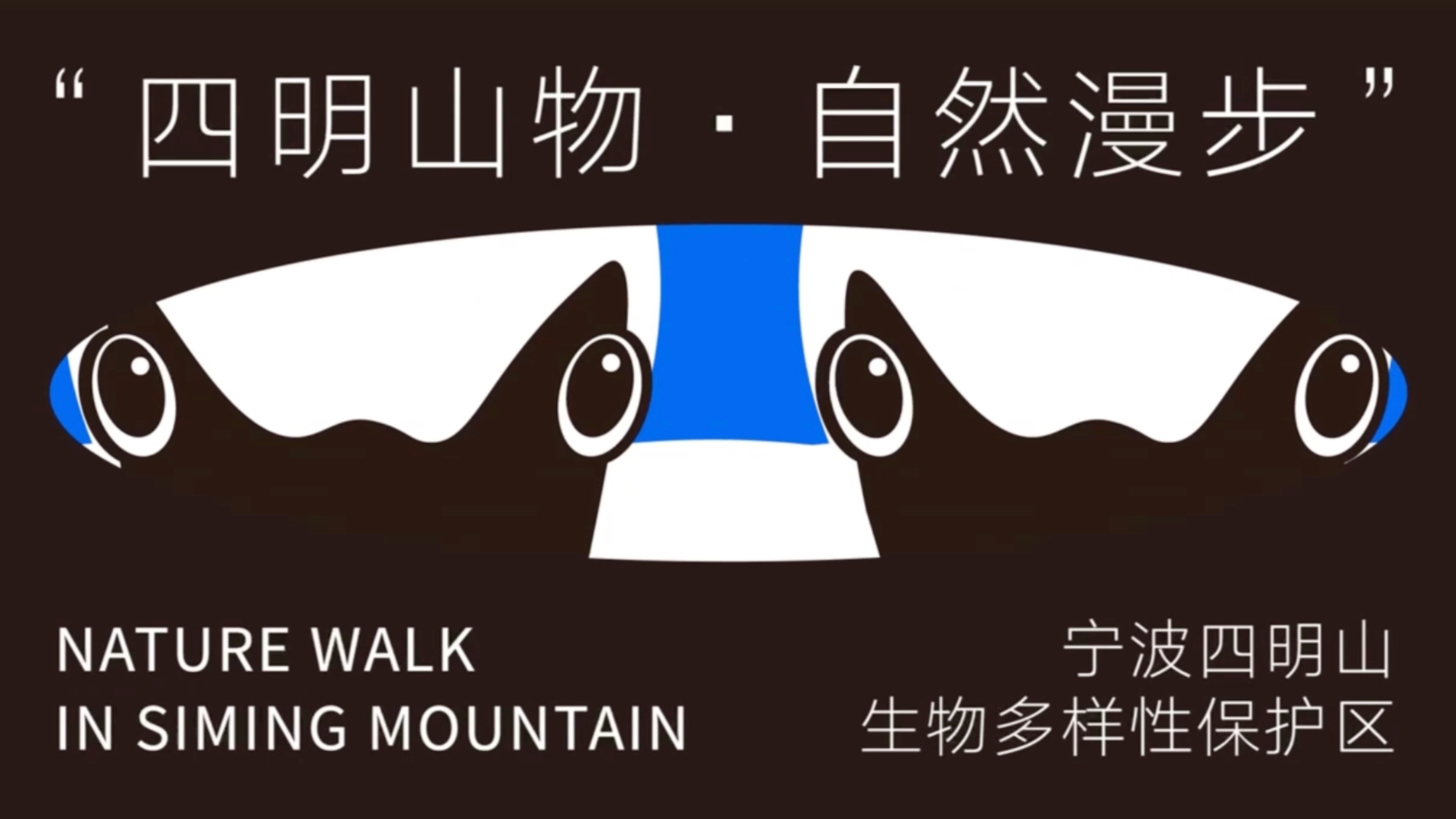 四明山物·自然漫步——图形动态衍生设计