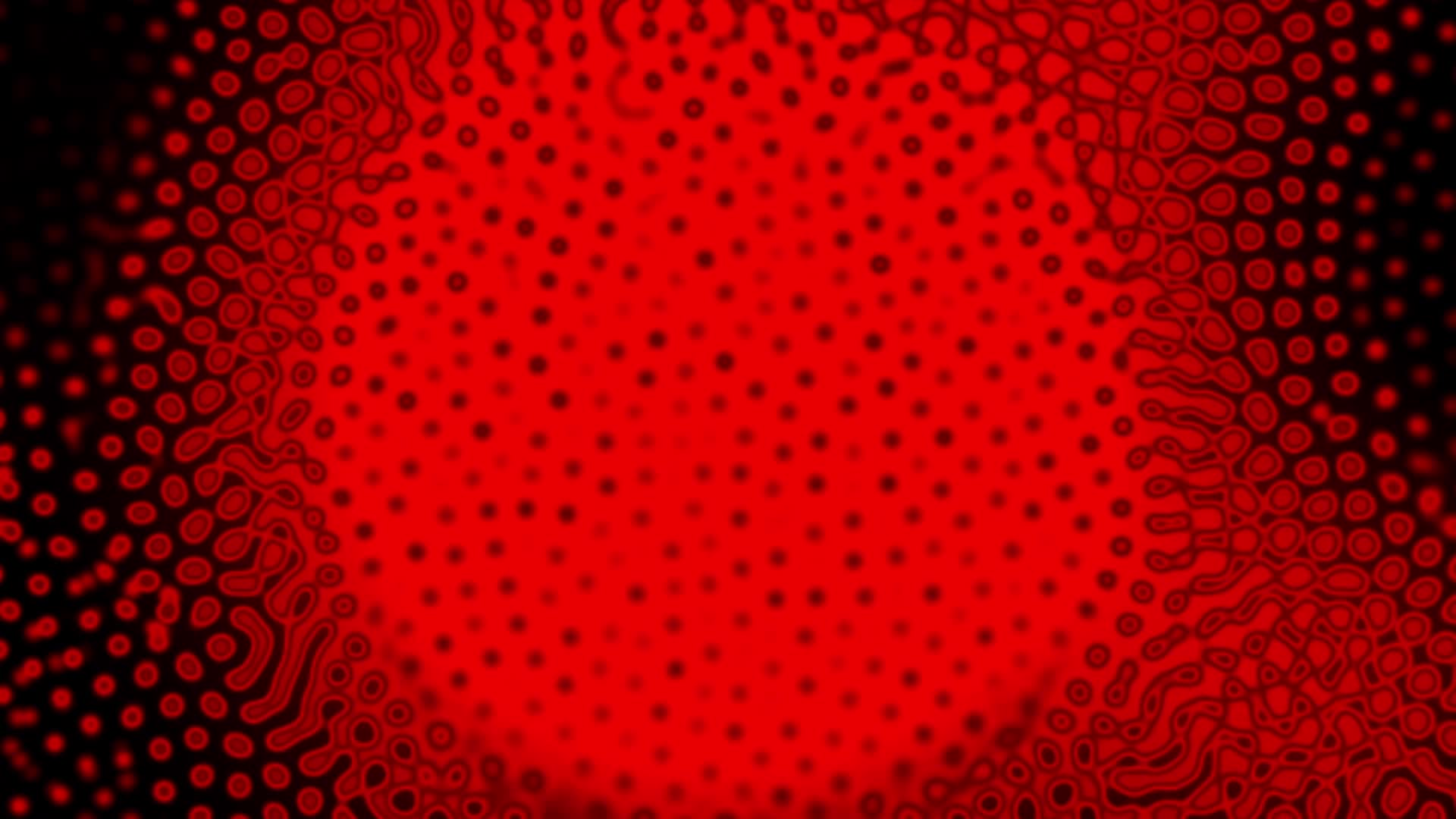 RED SPECTRUM AV Live