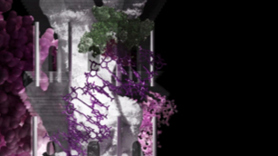kernel cosmos