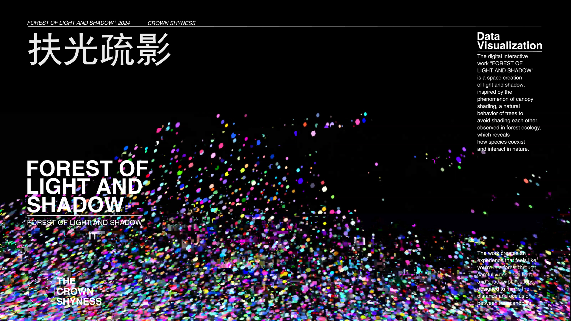 扶光疏影