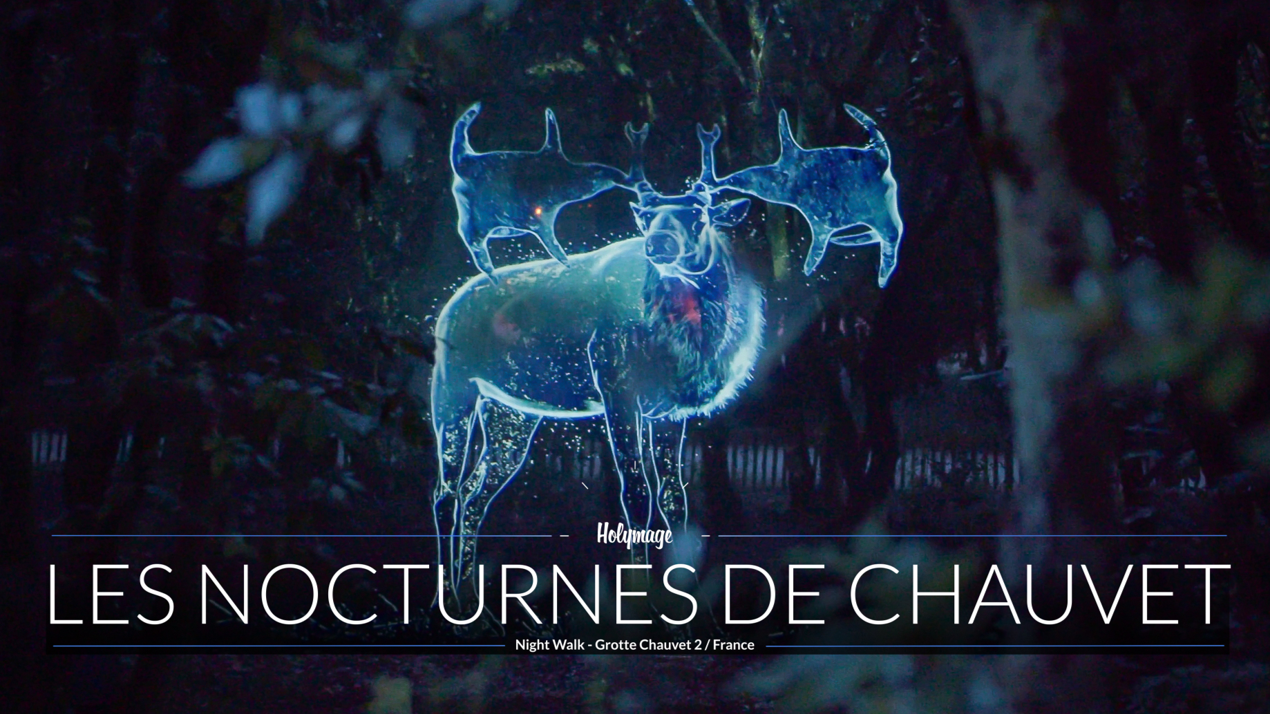 Grotte Chauvet' Park - Night walk