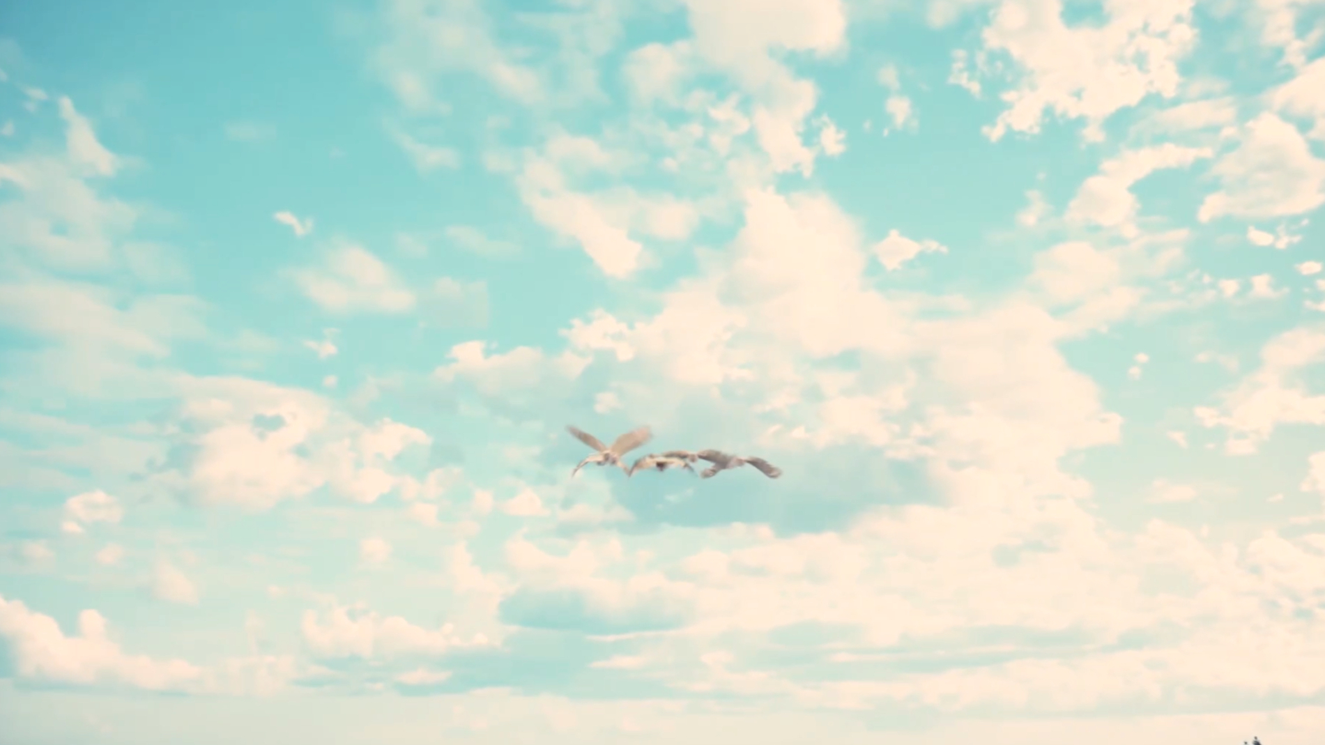 Wings of Life