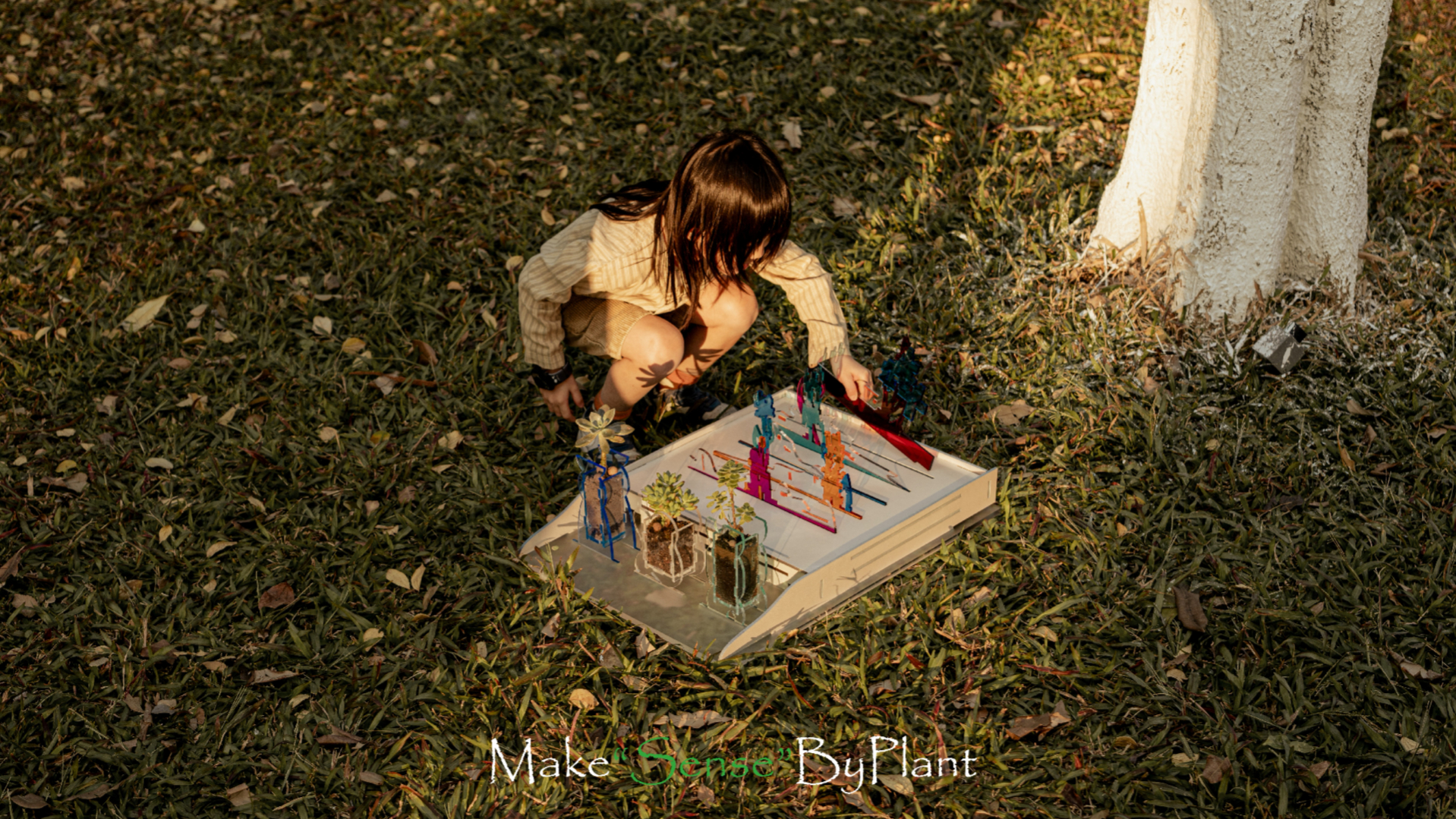 Make “Sense”By Plane