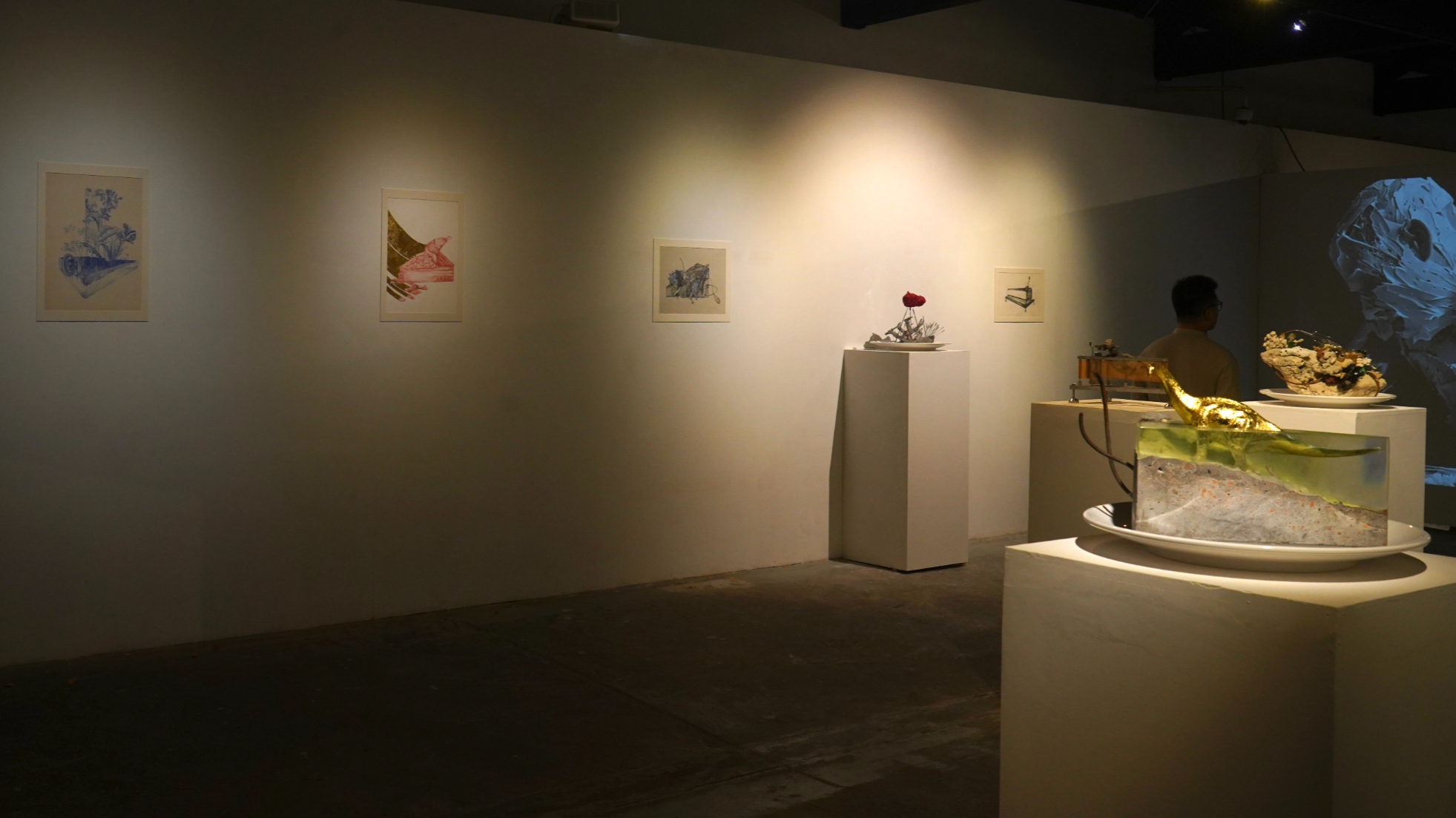 NEVERLAND-展览现场视频 