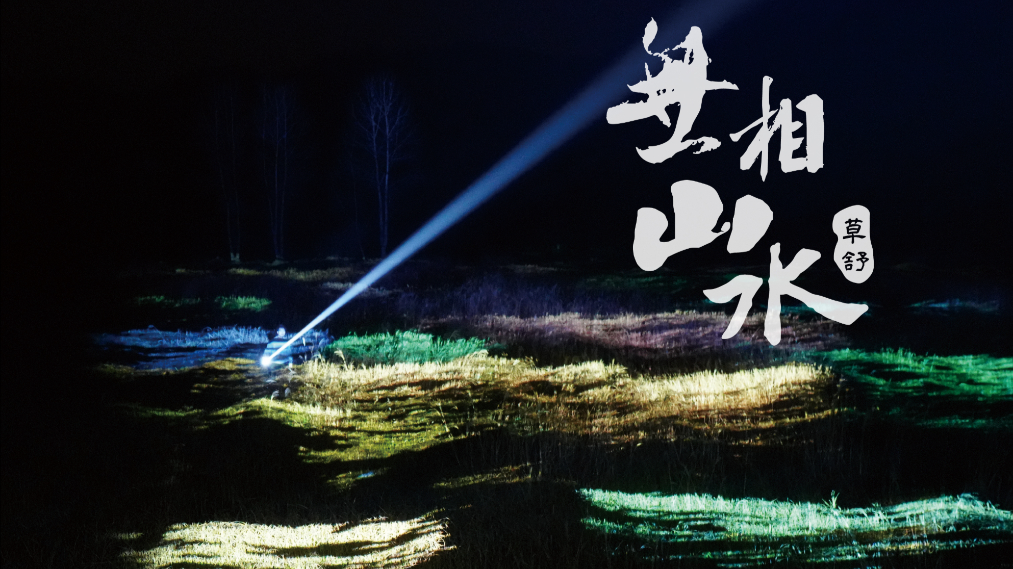 天光云影 媒介实验｜《无相山水·草舒》 原创 