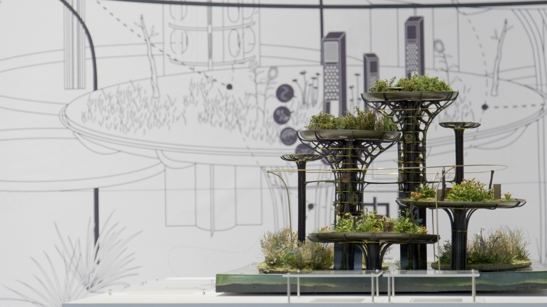 费俊新作《“候鸟驿站”生态计划》-武汉双年展
