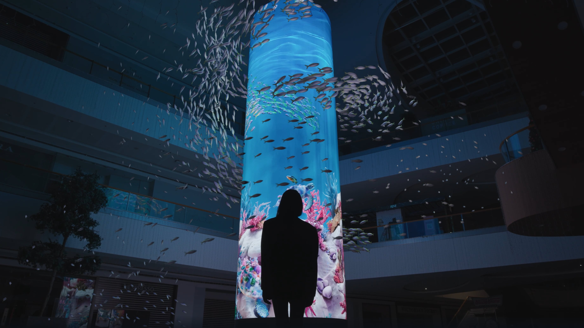 Wonders of the Sea