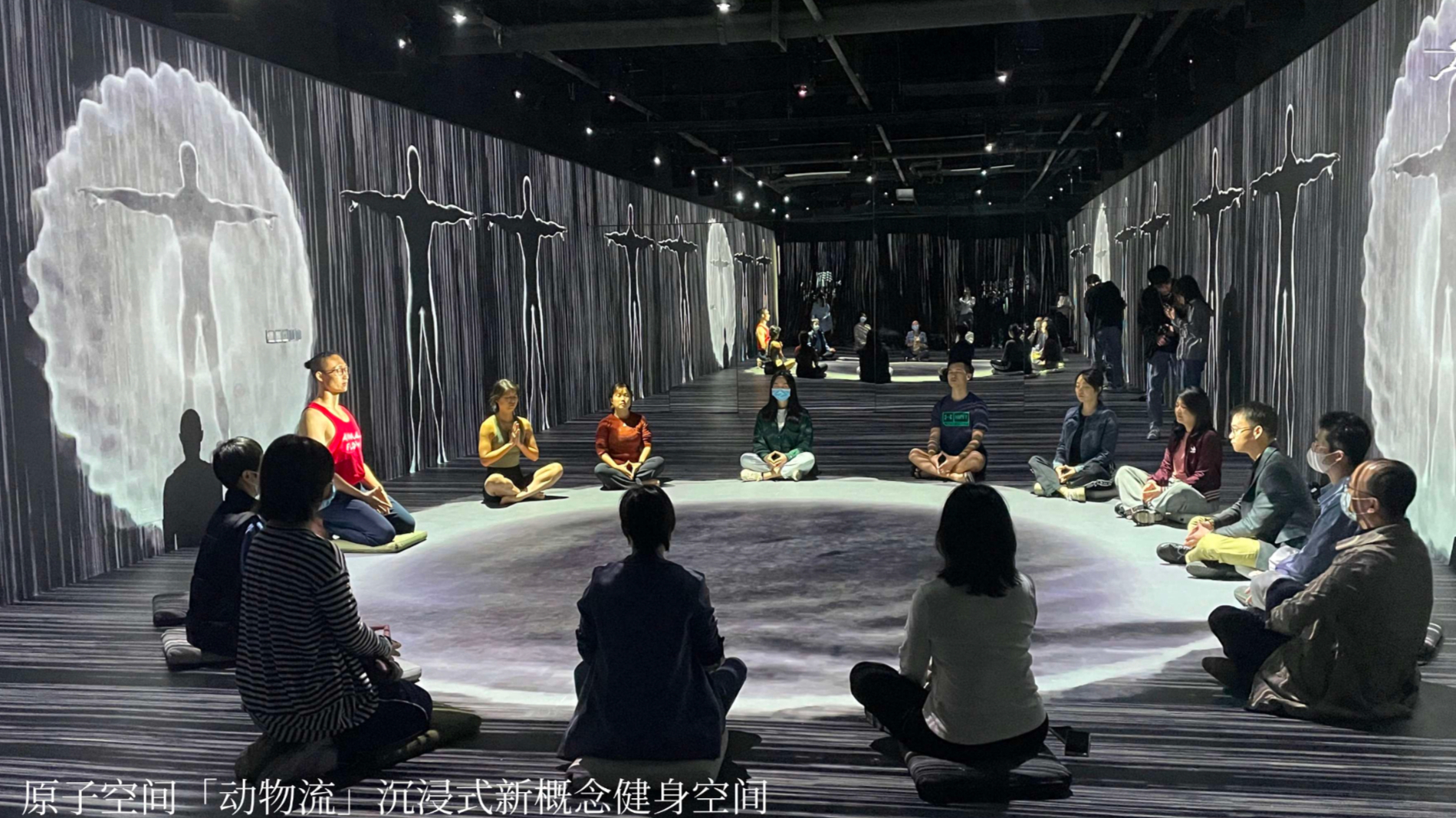 沉浸式 Animal Flow 健身空间｜返祖现象工作室