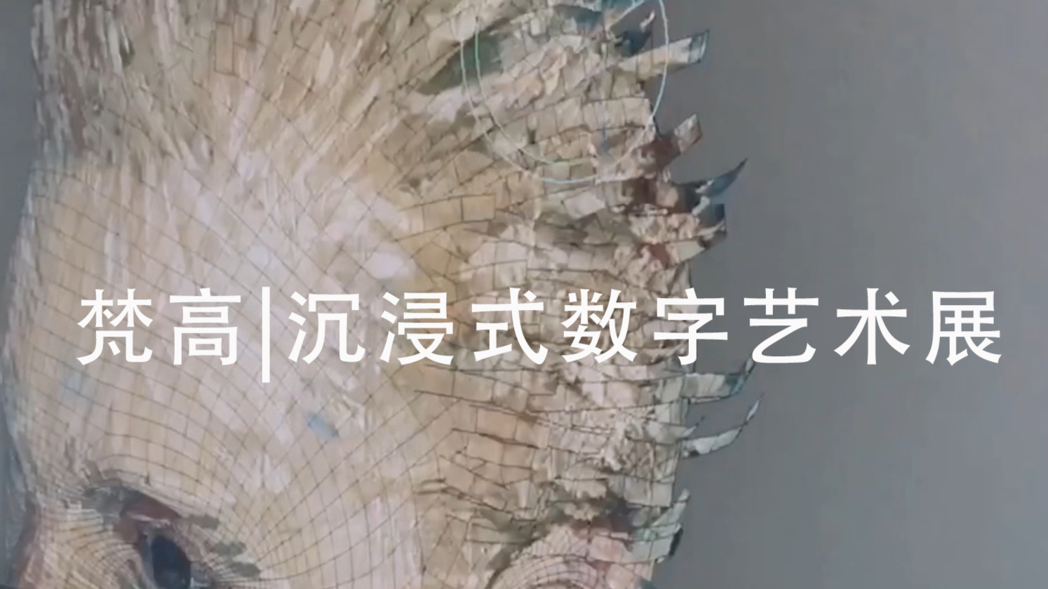 互动体验空间 | 梵高——沉浸式数字艺术展