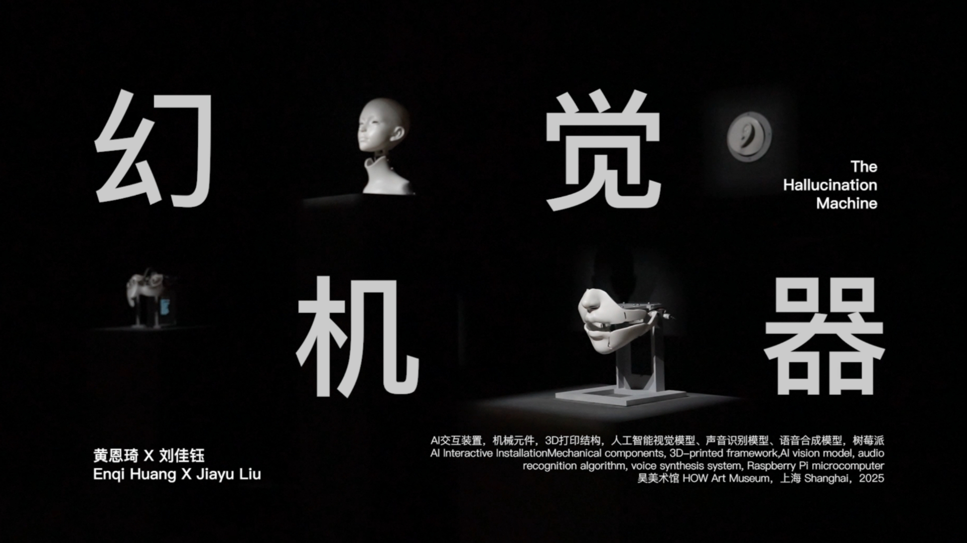 Hallucinaion Robot