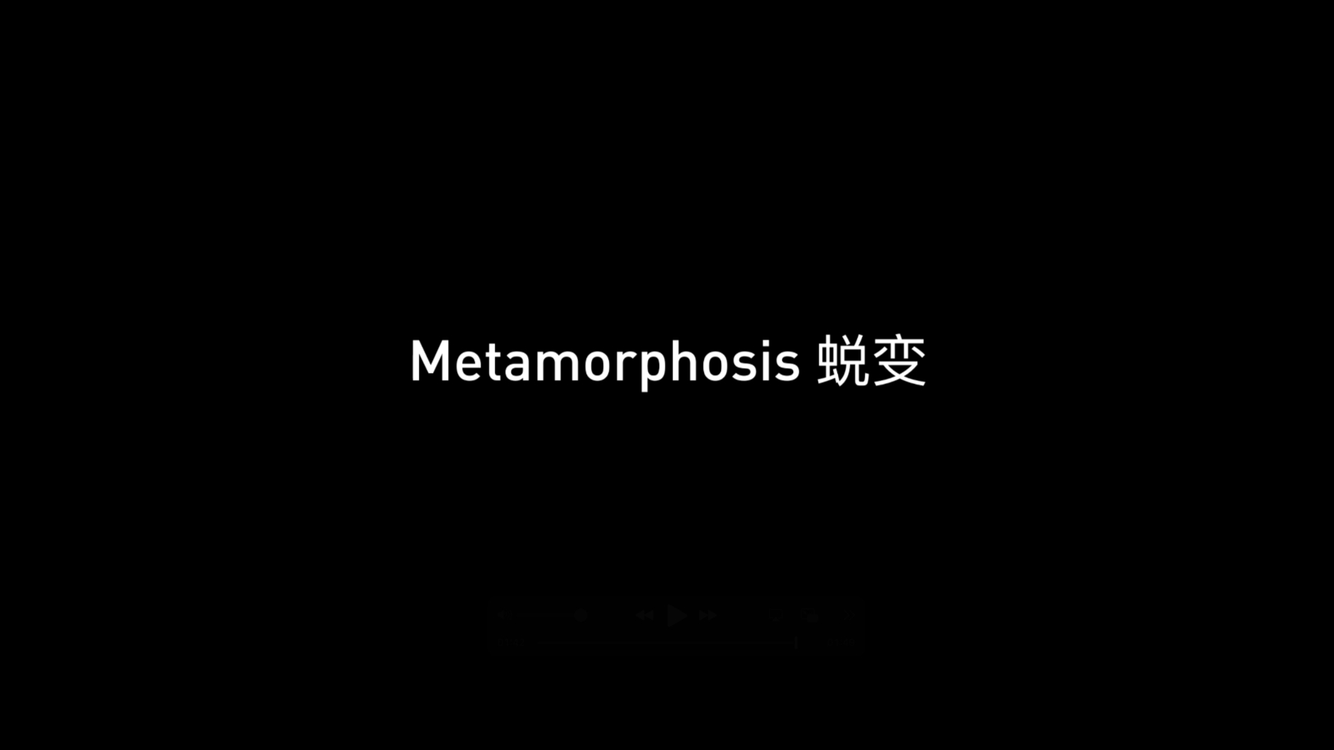 Metamorphosis 蜕变