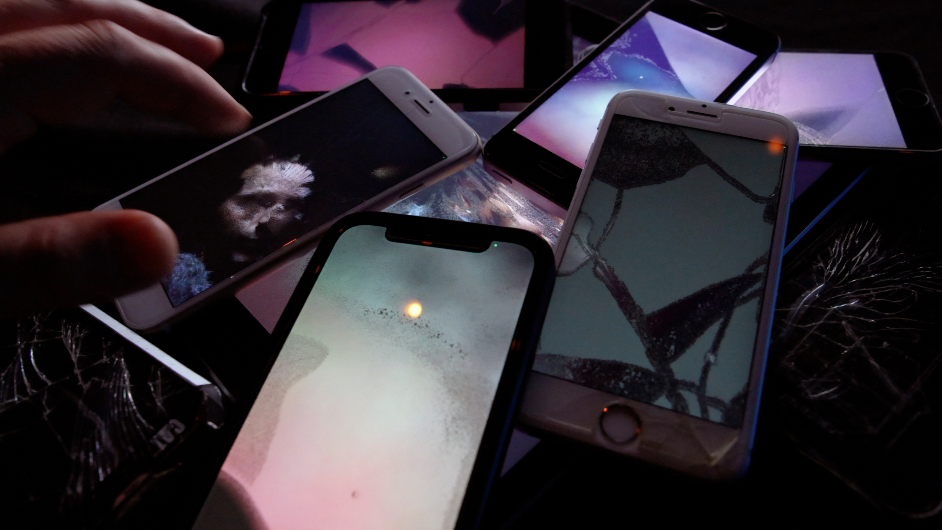 Somewhere between technological singularity and ecological singularity