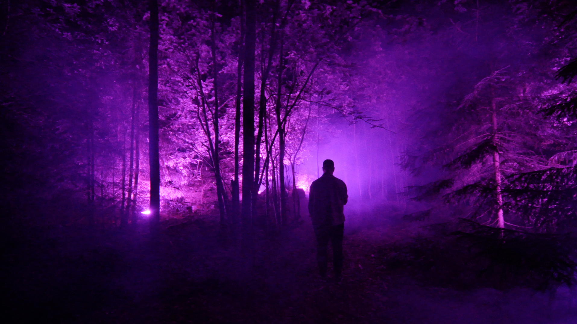 Inside - interactive installation