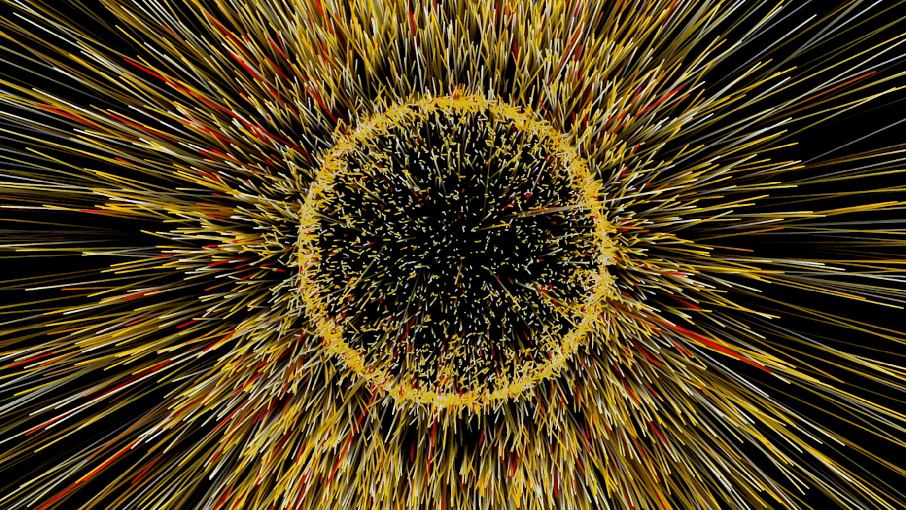 The Cycle of Light / Generative graphics