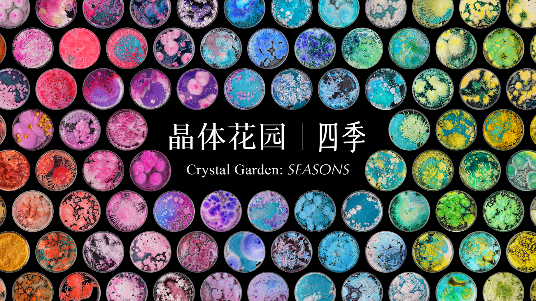 Crystal Garden: SEASONS