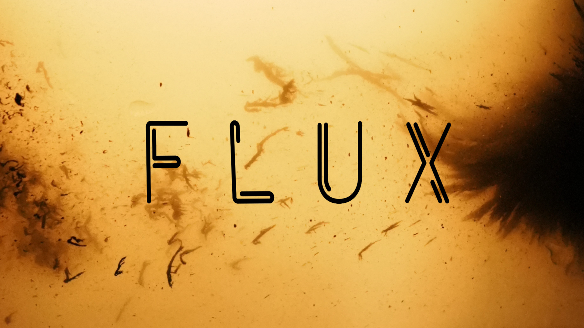 Flux