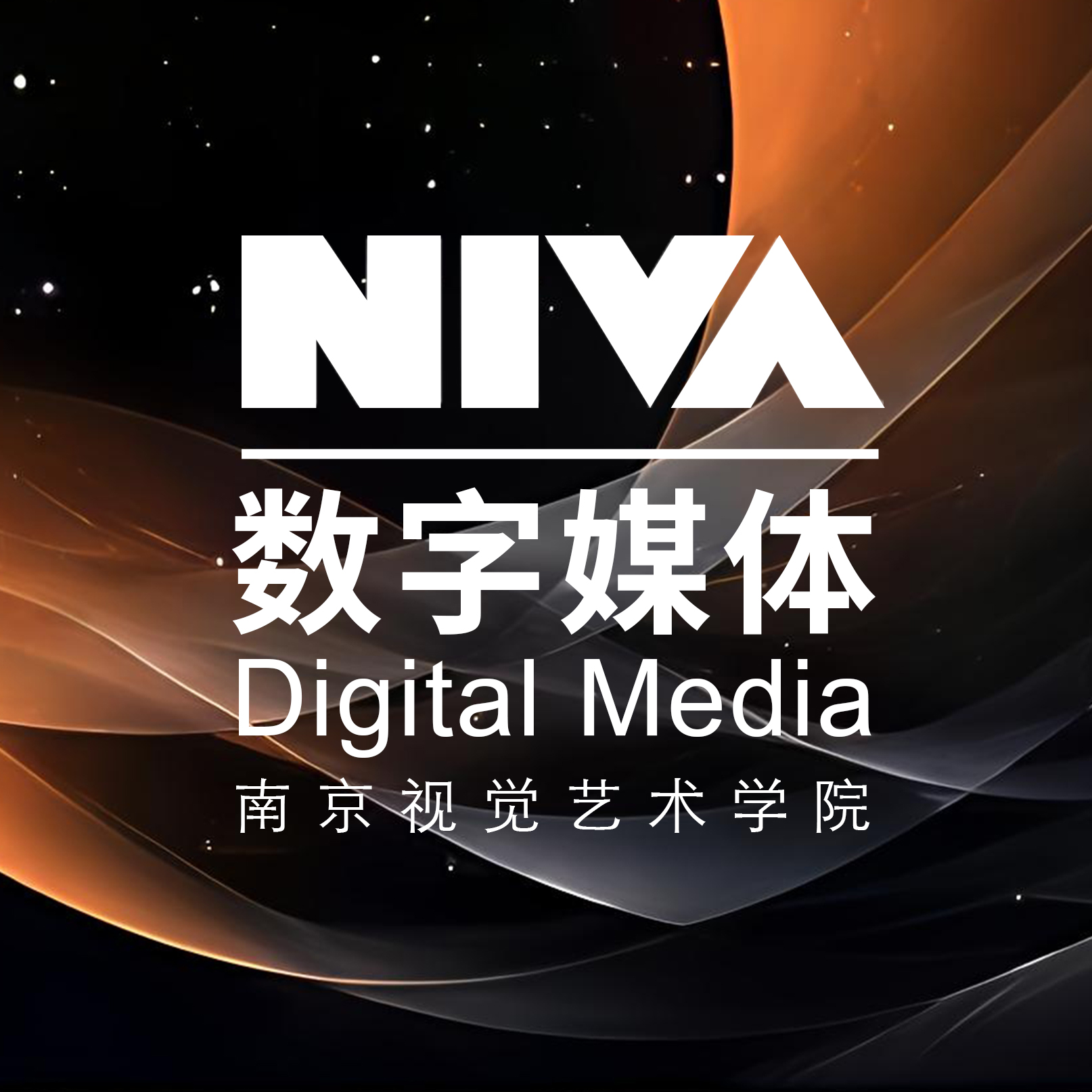 南京视觉艺术学院传媒系数媒专业