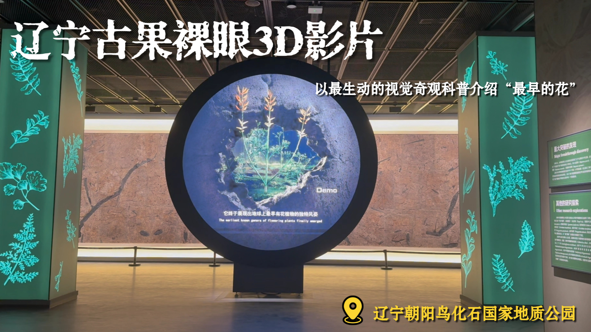 辽宁古果裸眼3D影片，生动再现最早花卉1.25亿年前的绽放瞬间