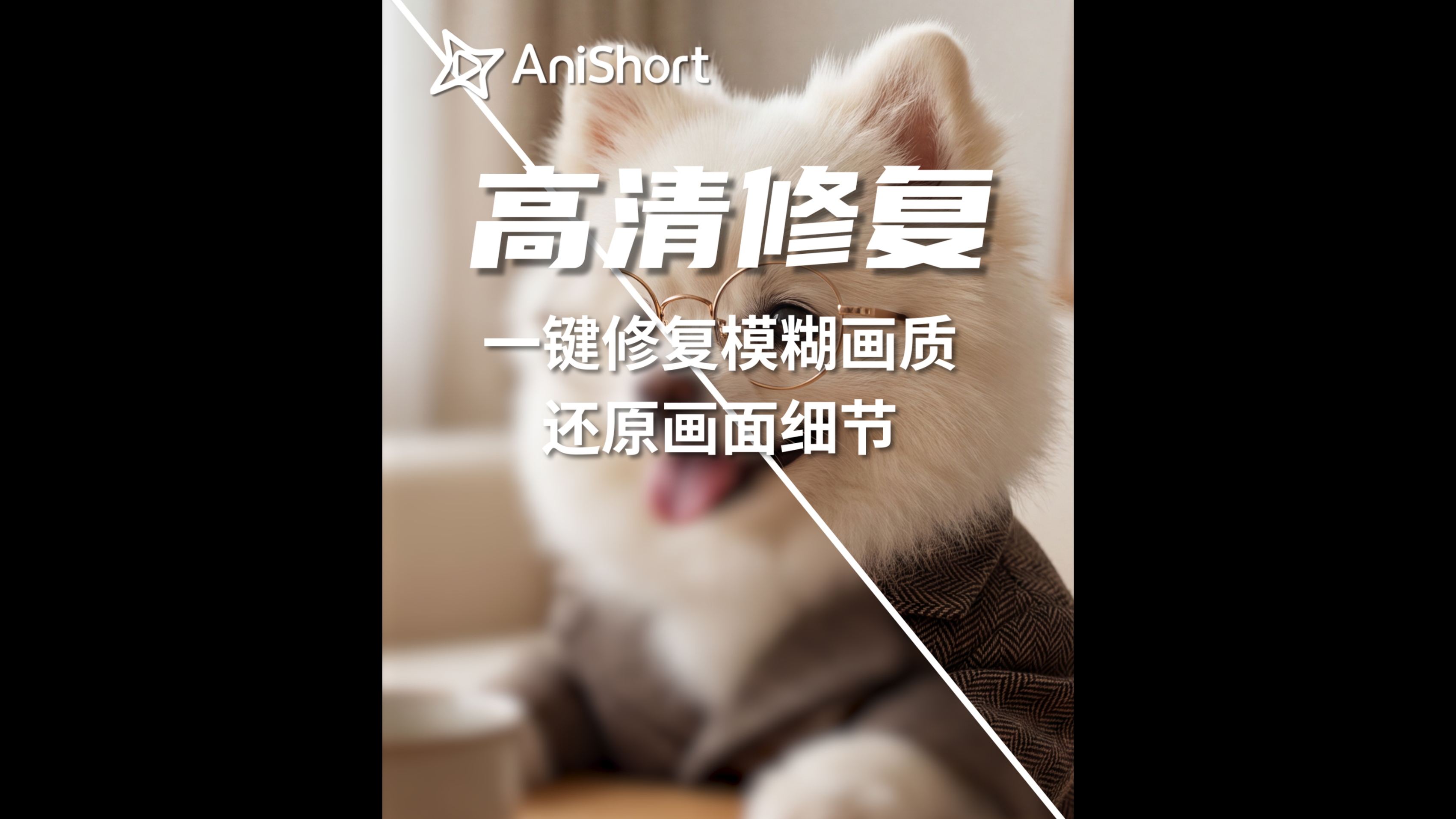 一站式影像修复，图片视频同步焕新，轻松重塑超清画面。