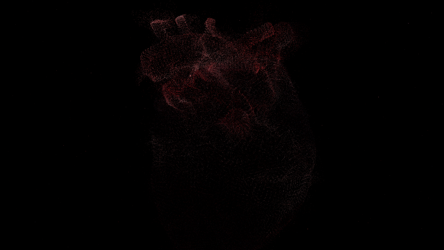 Cuore Celibe